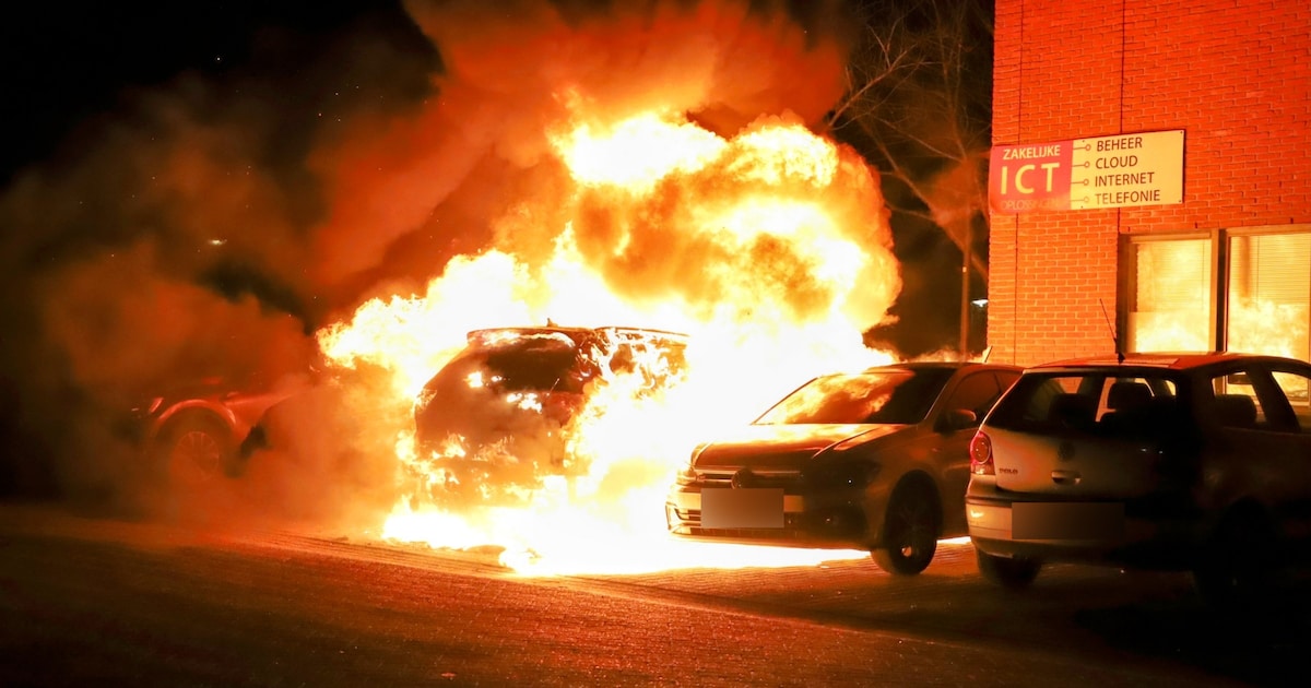 Vlammenzee verwoest meerdere auto's in Tiel