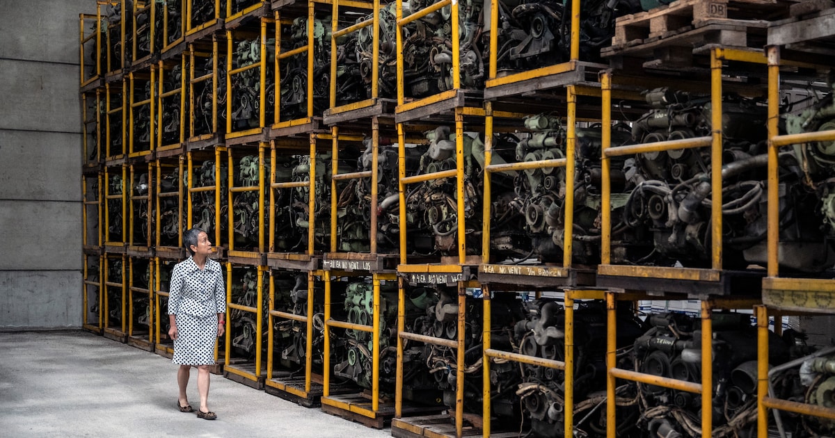 Dolly (70) en Herman (89) schuiven miljoenen weg via Hong Kong: hof legt celstraf en miljoenenclaim 