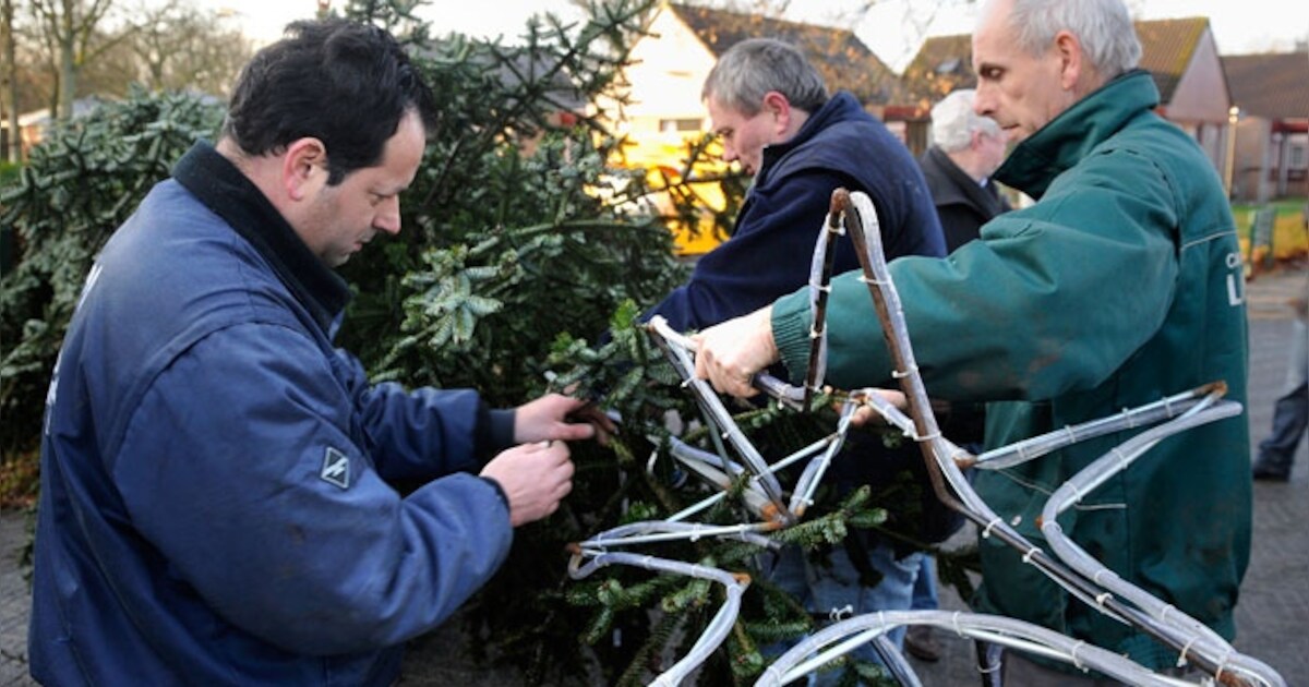 Grootste kerstboom ooit in Wolfheze