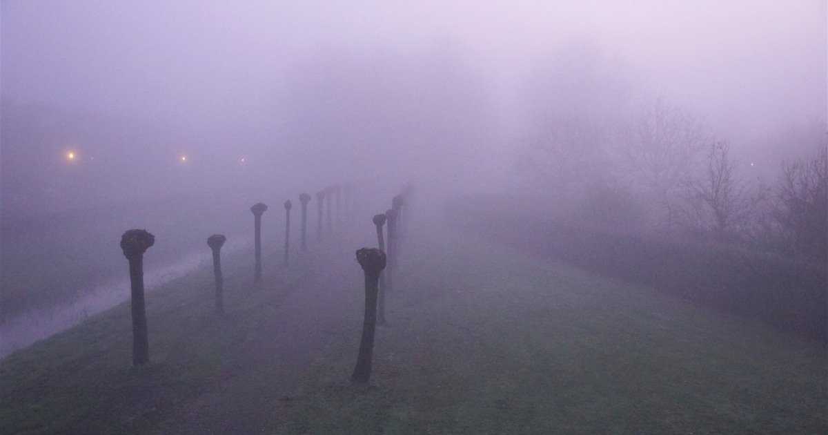 Wolken met lokaal kans op mist, weinig ruimte voor opklaringen. in Doetinchem in de nacht