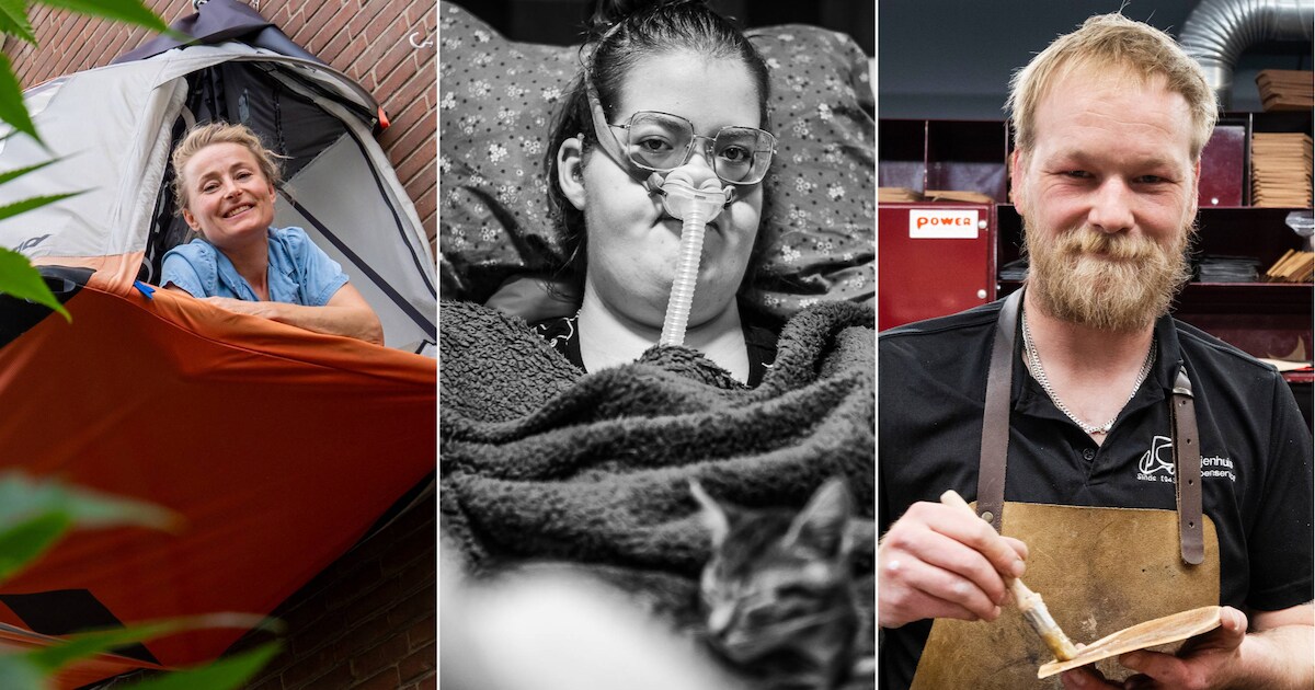 Dit nieuws uit Rheden werd het meest gelezen in 2025 | Regio | De ...