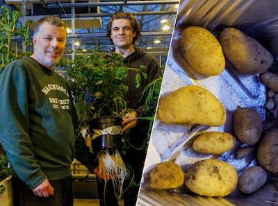 Aardappels en zelfs bier maken op Mars? Onderzoekers bootsten grond van rode planeet na en dit is wat ze ontdekten