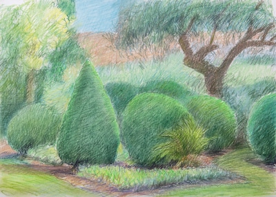 Tentoonstelling ‘De tuin van Willem en Ferry’ opent in Tiel