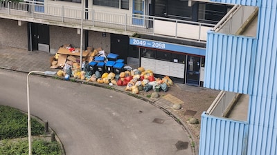 Afval slechter opgehaald in Nijmegen, zeker deze wijken zijn de klos: ‘Het is één grote rotzooi’