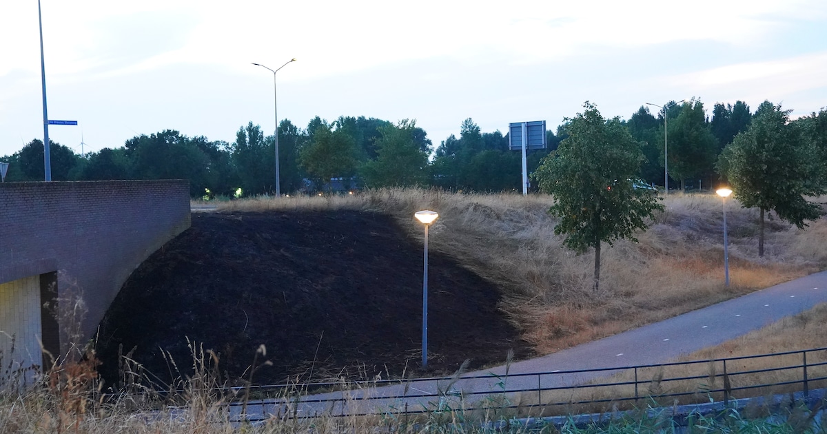 Twee bermbranden kort na elkaar langs weg in Rosmalen