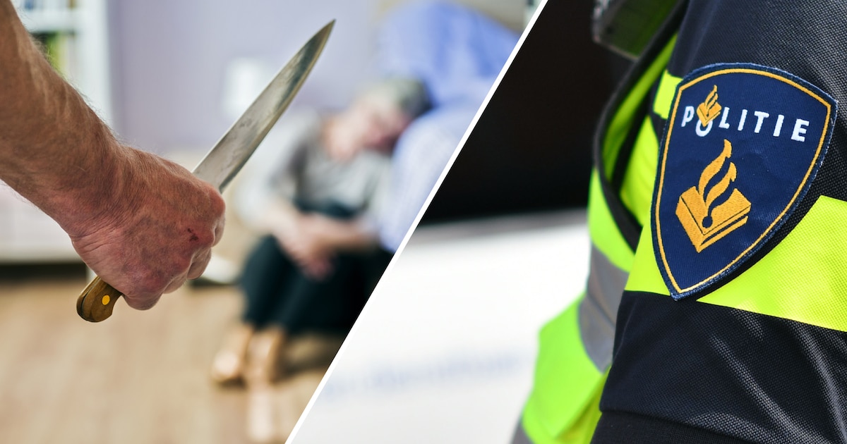 Agenten Mark en Erna willen naar afscheidsborrel van collega, maar plots is er die zwaargewonde vrou