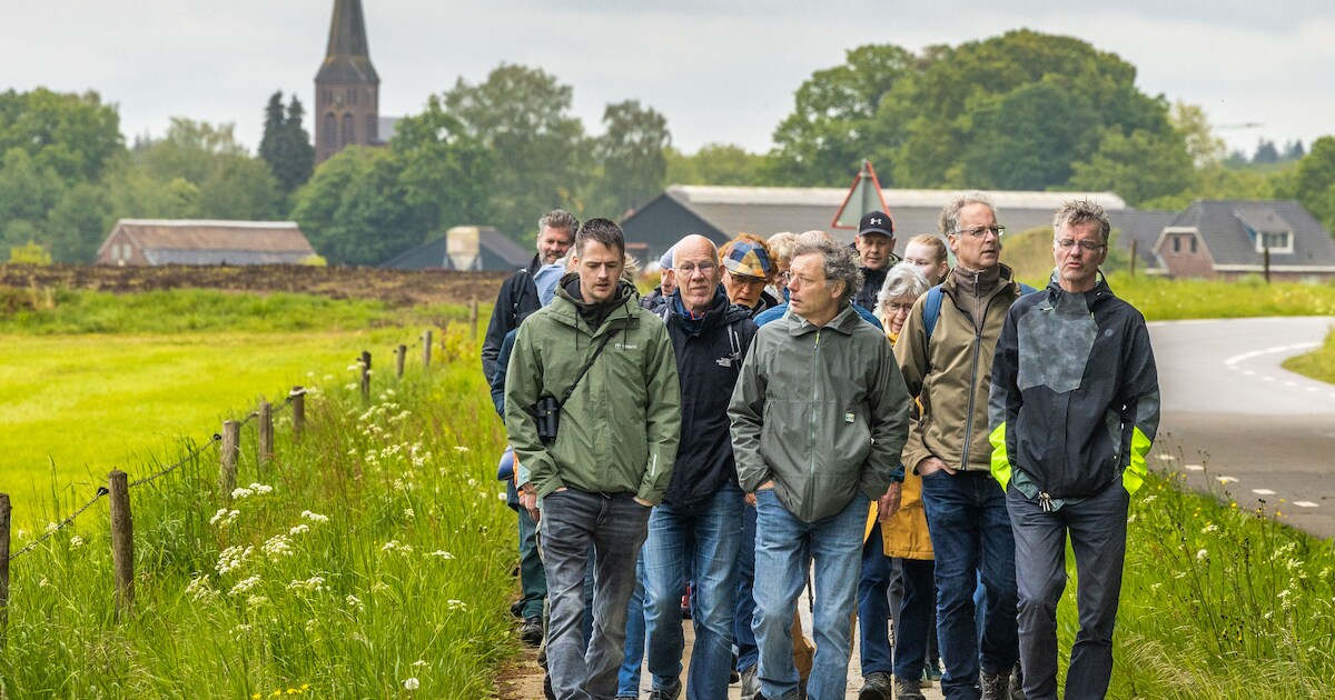 Op deze wandelroute door Lettele zie je met eigen ogen wat anders boeren met het land doet