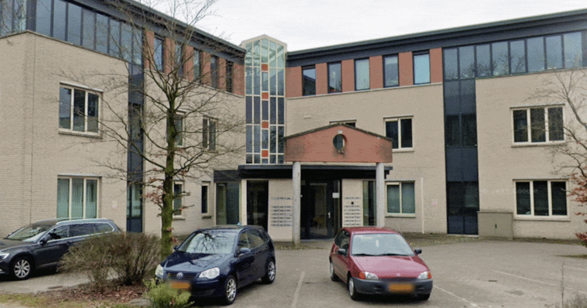 Kakkerlakkenplaag is zo hardnekkig dat bewoners beter kunnen verhuizen: ‘Zij zijn geschrokken’