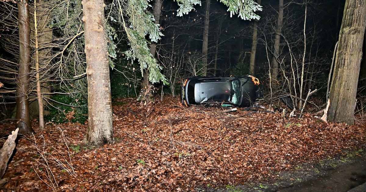 Auto op zijkant in bosjes na crash in Voorthuizen