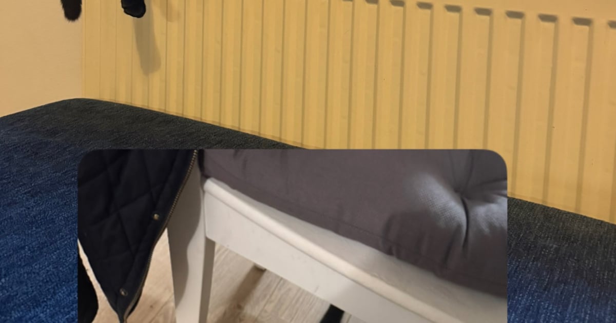 Heb jij Pjotr, Batman of Kura gezien? Deze vier huisdieren worden in Land van Cuijk vermist