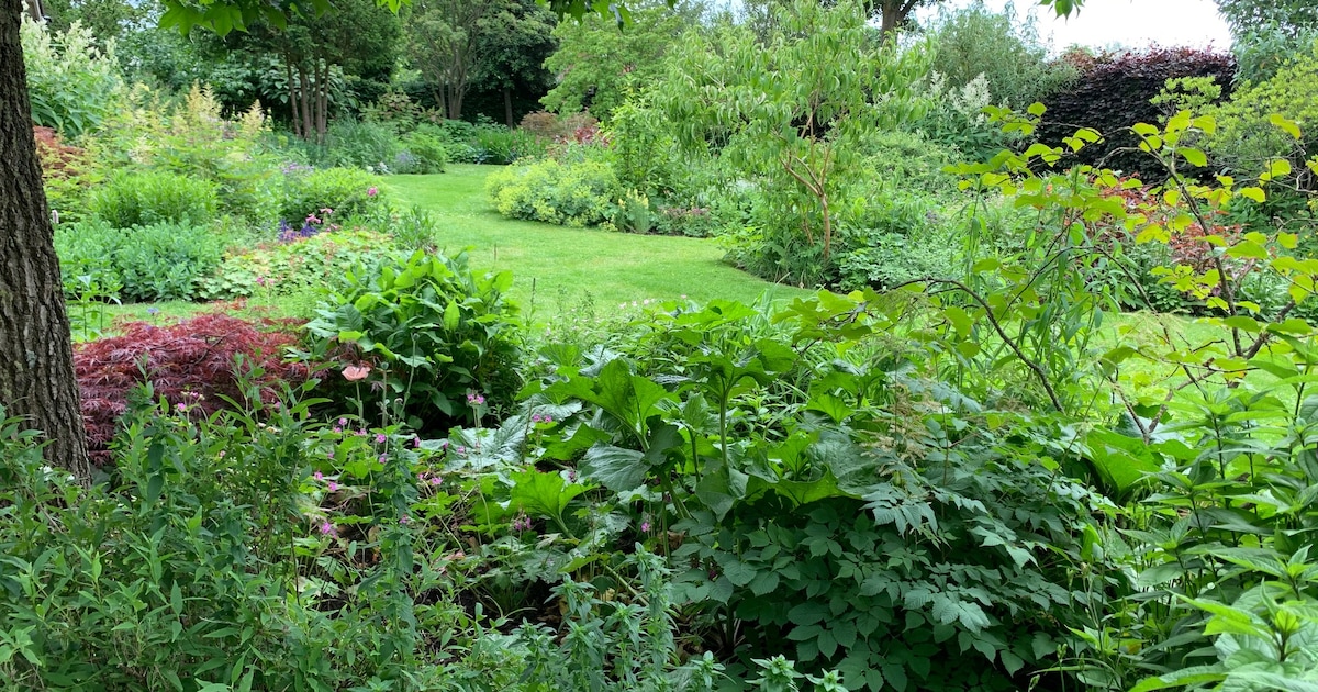 Bijzondere tuinen in Breedenbroek en Megchelen gaan open