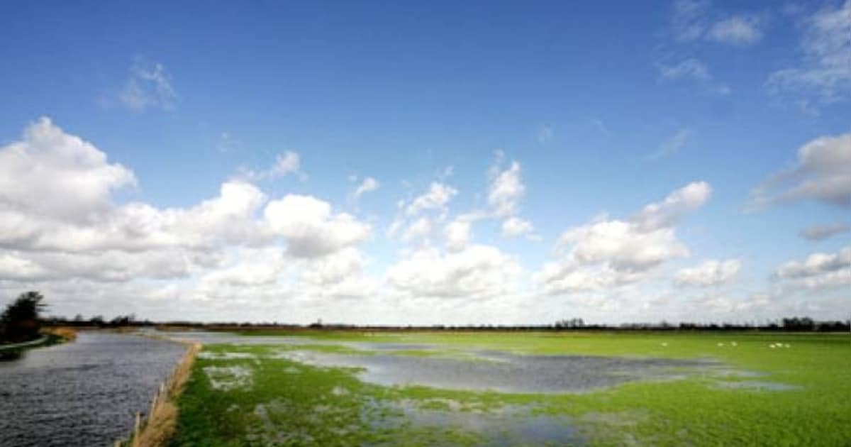 Binnenveld blijft last houden van droogte