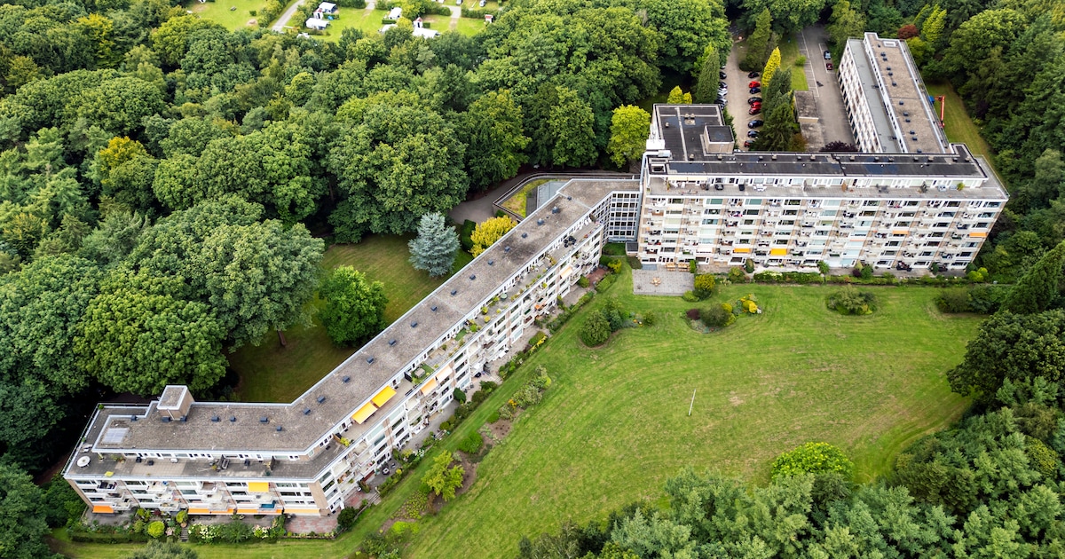 Vuurwerkknallen en een Nederlandse vlag. Burgemeester, wethouder en het COA geven toelichting op pla