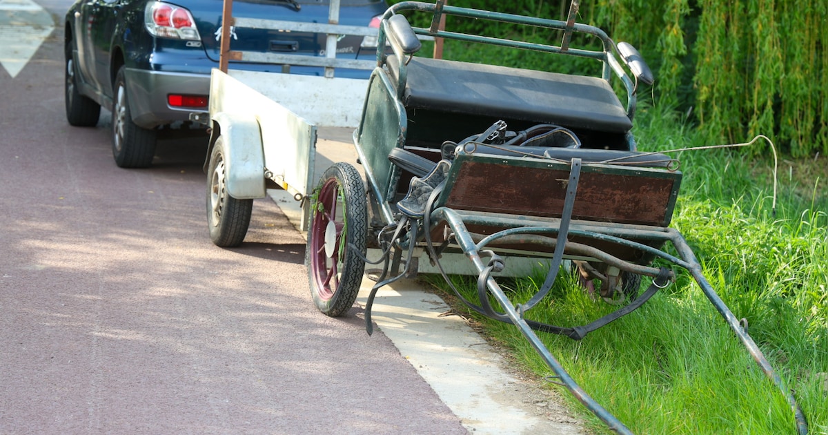 Paarden slaan op hol in Zevenaar, kar schiet sloot in