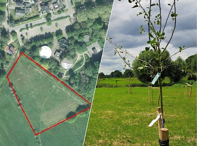 Berkelland gaat vervuild weiland bij Neede helemaal saneren: dit is waarom