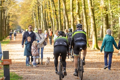 We ontkomen voorlopig niet aan grijze lucht en regenbuien, maar zaterdag duikt de zon ineens op