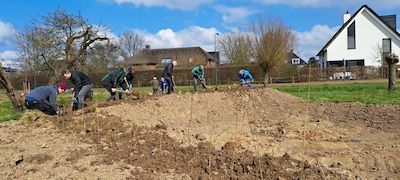 Meehelpen met wilgen knotten in Beunings park