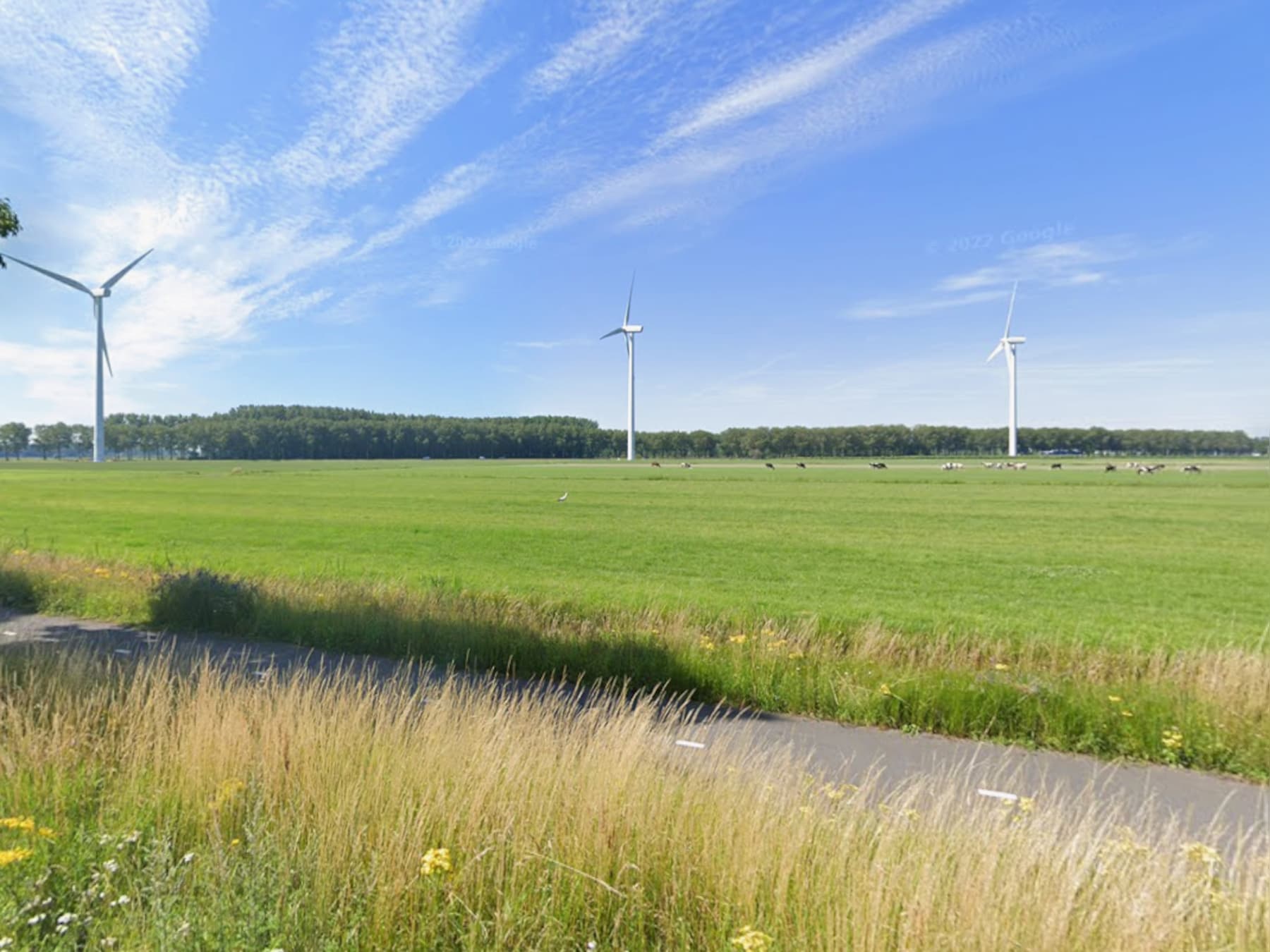 Als het goed is weet u niet wat aura, sigma en yusu betekenen | Tiel ...