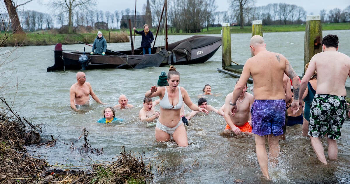 Harde wind houdt nieuwjaarsduik in Batenburg niet tegen, dorpsbewoners trotseren de koude Maas