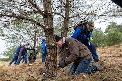 Heidewerkdag op het Rozendaalse Veld