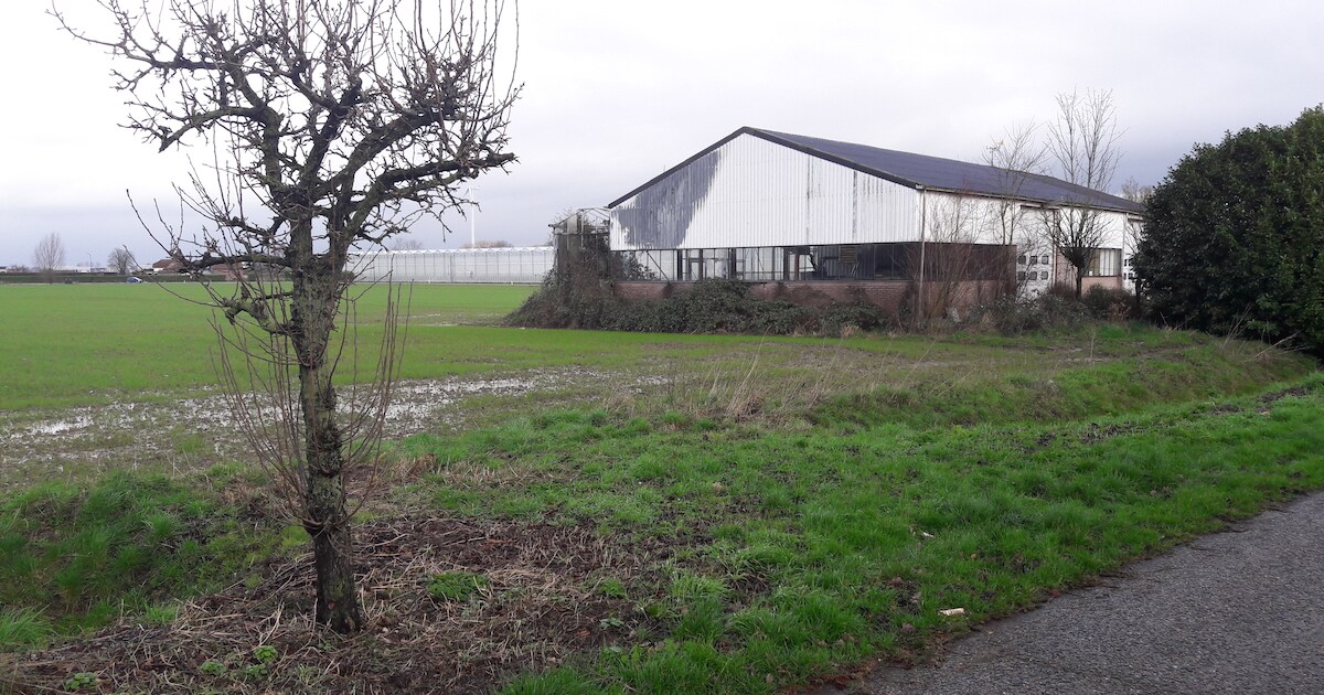 Oude kassen verdwijnen: Est krijgt er eindelijk woningen bij