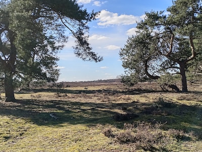 Lentewandeling bij Natuurcentrum De Ginkel in Ede