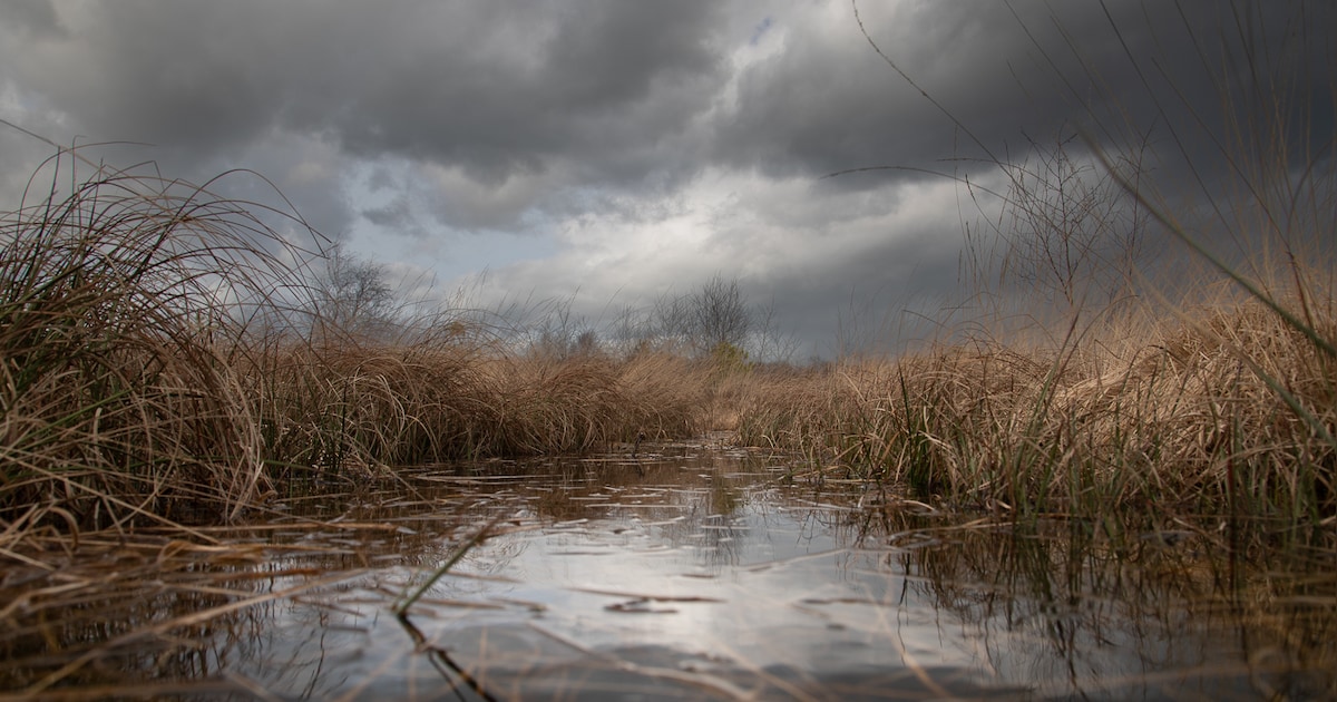 Fotografietentoonstelling Theo Bauhuis in kerkje de Rietstap | Aalten ...