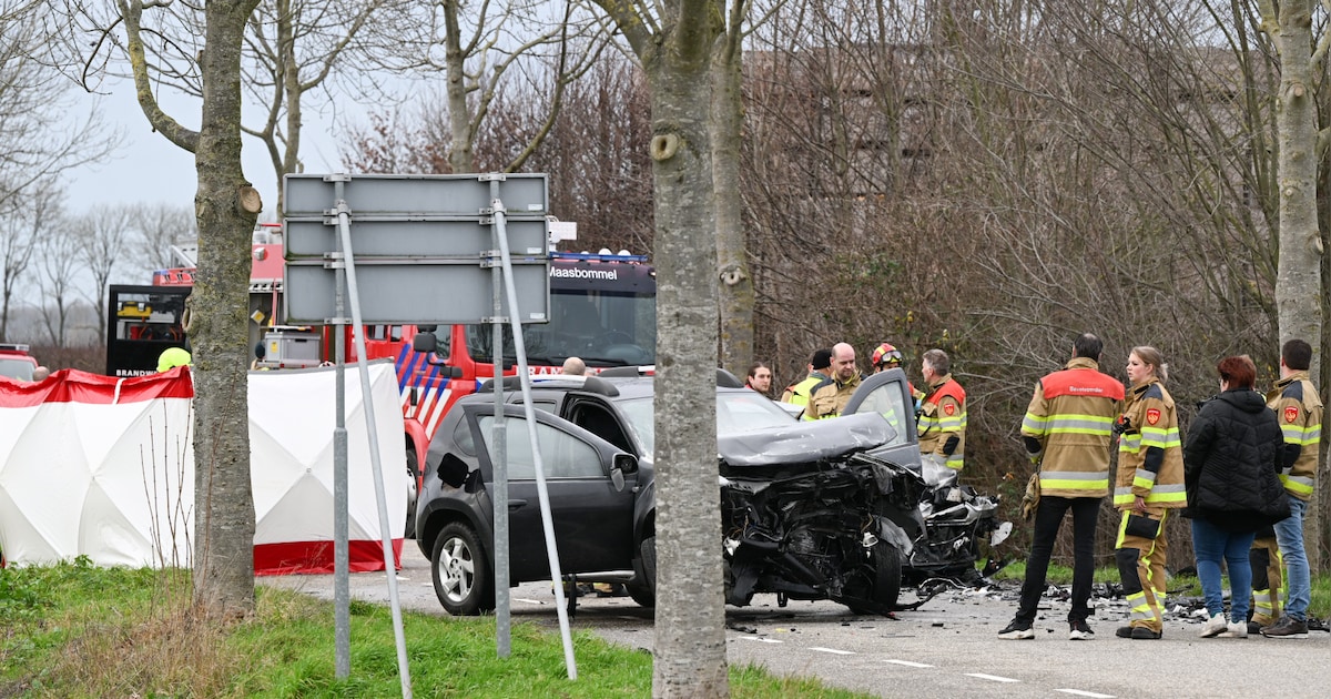 Dode uit Oekraïne bij frontale botsing in Altforst; vier mensen met spoed naar ziekenhuis