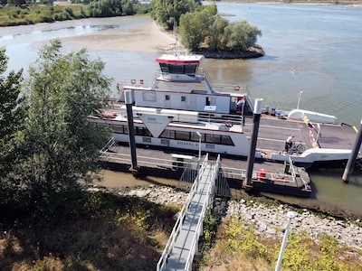 Veerpont tussen Brakel en Herwijnen neemt bij laag water geen auto’s en motoren meer mee
