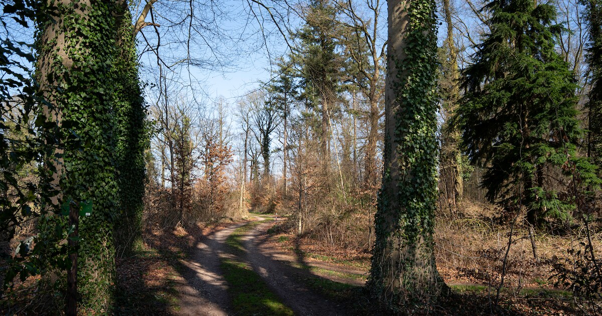 Op deze plek komt wellicht een natuur- én islamitische begraafplaats | Lochem