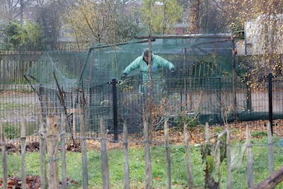 Drama voor bekendste kinderboerderij van Nijmegen: alle dieren ‘met vleugels en veren’ geruimd na vo