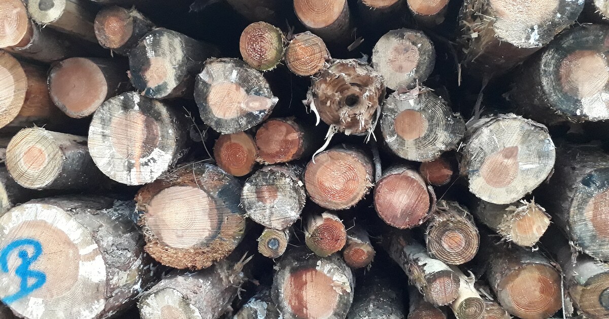 Boete dreigt voor zwemschool die gratis pallets wil verbranden voor verwarmd bad | Land van Cuijk