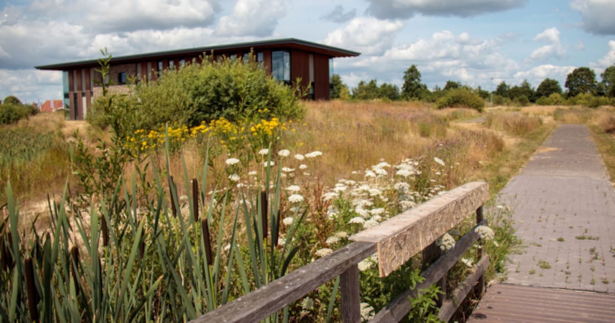 Groenstartsubsidie voor bedrijven op Utrechtse bedrijventerreinen