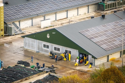 Vogelgriep in Zeewolde: 12.000 eenden worden geruimd