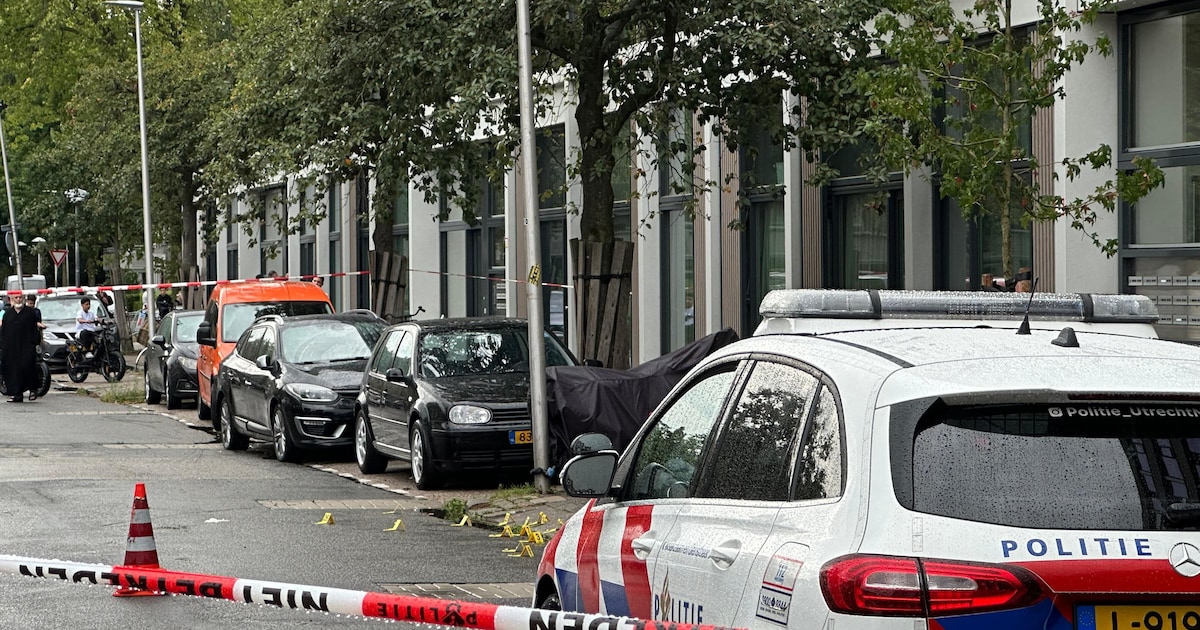 Tweede verdachte vervolgd voor afvuren van 28 kogels op ...