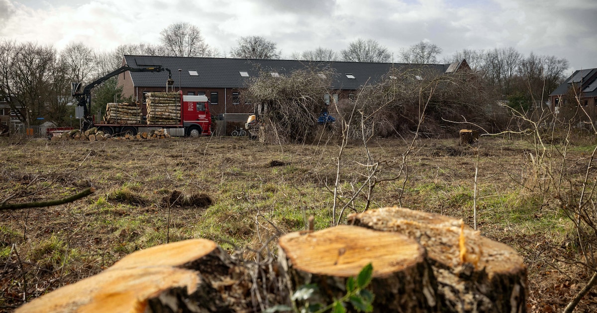 Oppositie vreest voor nog meer ‘rijkeluiswoningen’ in Vught en te weinig aandacht voor jongeren
