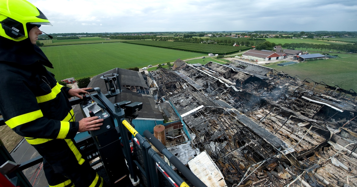 Provincie trekt vergunning Knorhof in, varkenshouder stapt weer naar de rechter