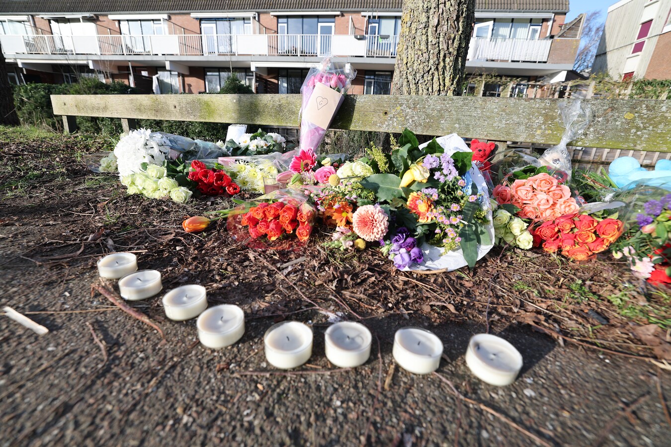 Vrienden van doodgestoken Giannini (16) kapot van verdriet: 'Hij was de  allerliefste jongen ter wereld' | Foto | gelderlander.nl