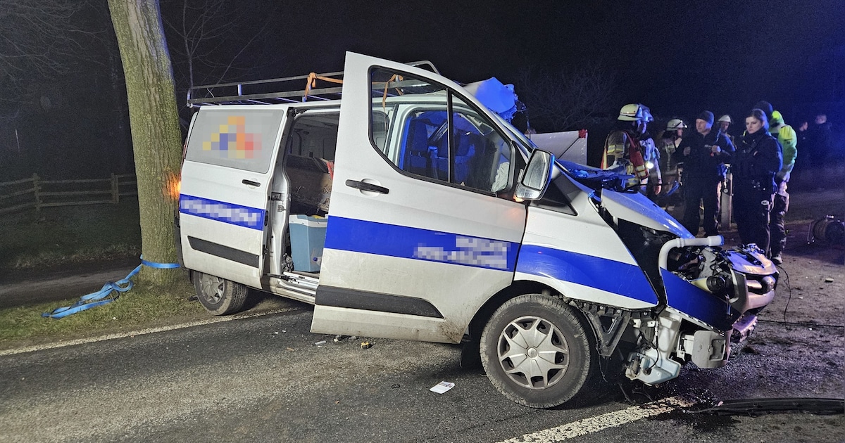 Man (56) uit Millingen botst met bestelbus tegen boom en overlijdt