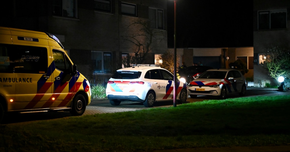 Politiehelikopter zoekt naar verdachten van woningoverval in Nieuwegein