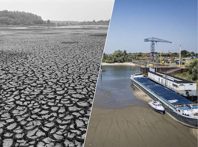 De Rijn zakt, de zorgen stijgen: waarom deze zomer zo aan die van 1976 doet denken
