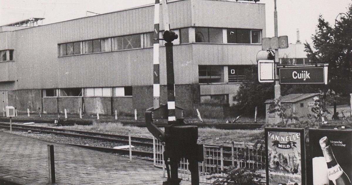 Homburg Cuijk in 1974 dicht door uitbraak varkenspest