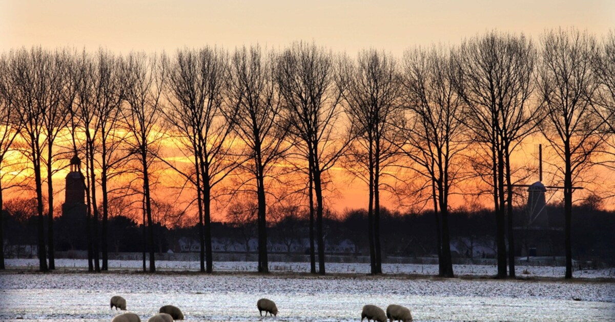 Jeugd Acquoy vindt dode man in tuinhuisje
