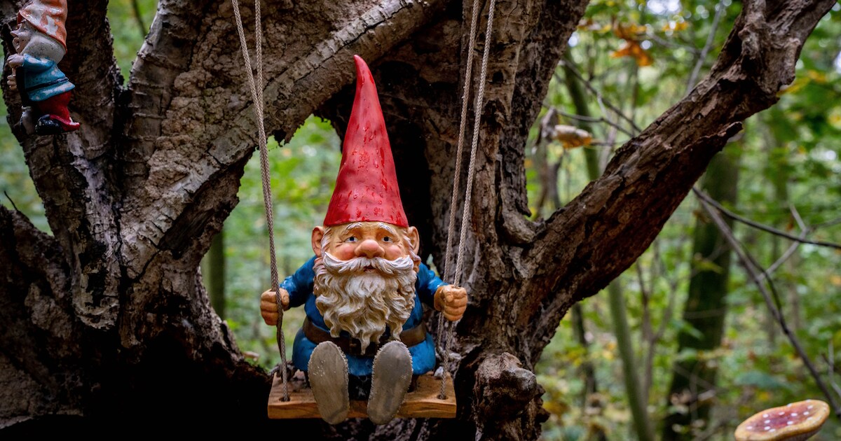 Weer volop kabouters in het bos in Horssen: ‘Er hangen nu camera's’