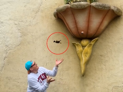 Eendjes vallen naar beneden op stenen bij Droomvlucht in Efteling, maar deze held steekt daar een stokje voor