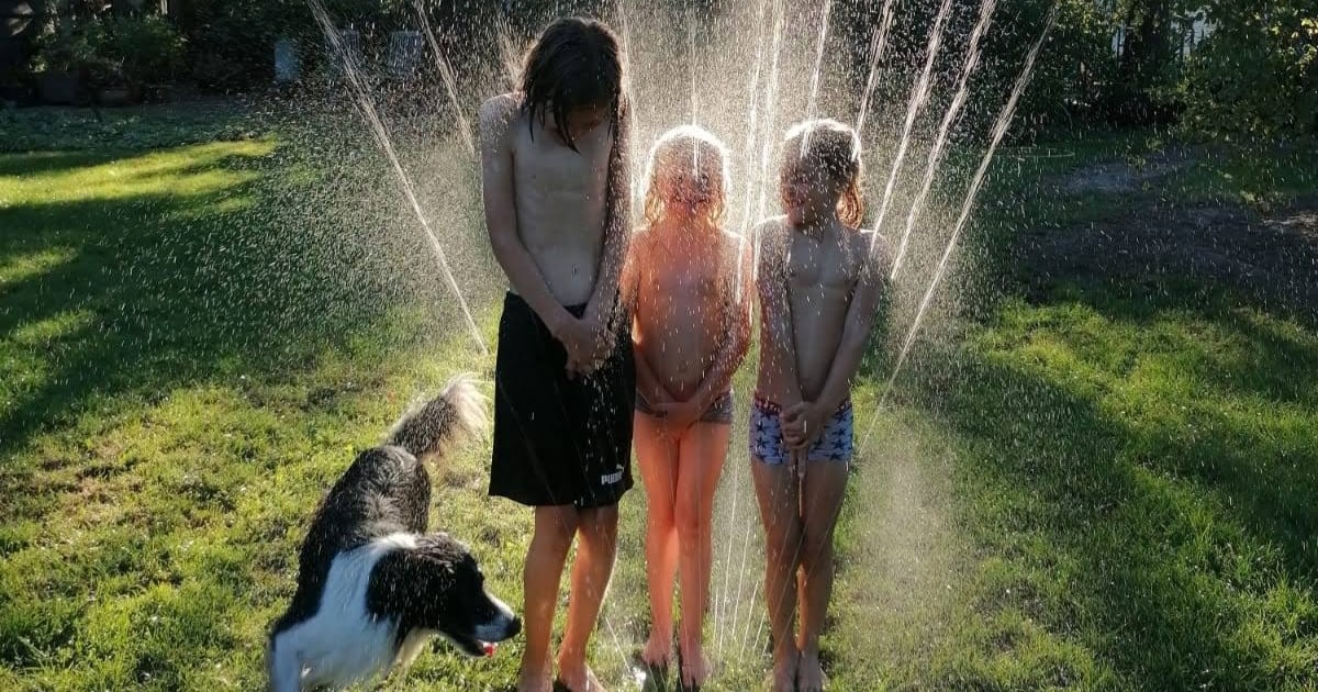 Honderden lezers stuurden zomerfoto’s in, maar deze plaat van Jeanne uit Volkel wint de hoofdprijs