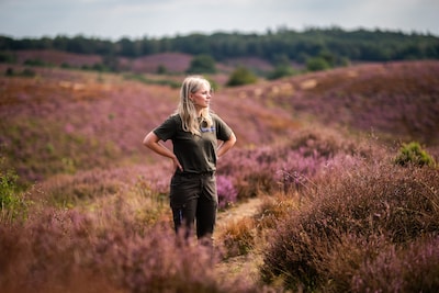 Boswachter Nathalie (25) ziet geliefde heide op de Posbank wegkwijnen: ‘Het is verdrietig’