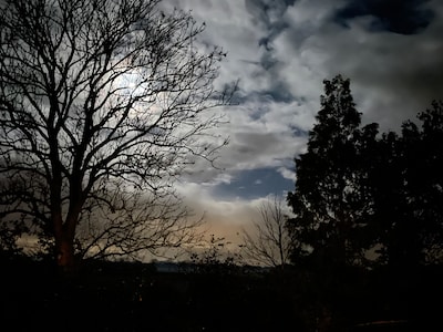IVN houdt avondwandeling door Gasselse bossen tijdens Nacht van de Nacht