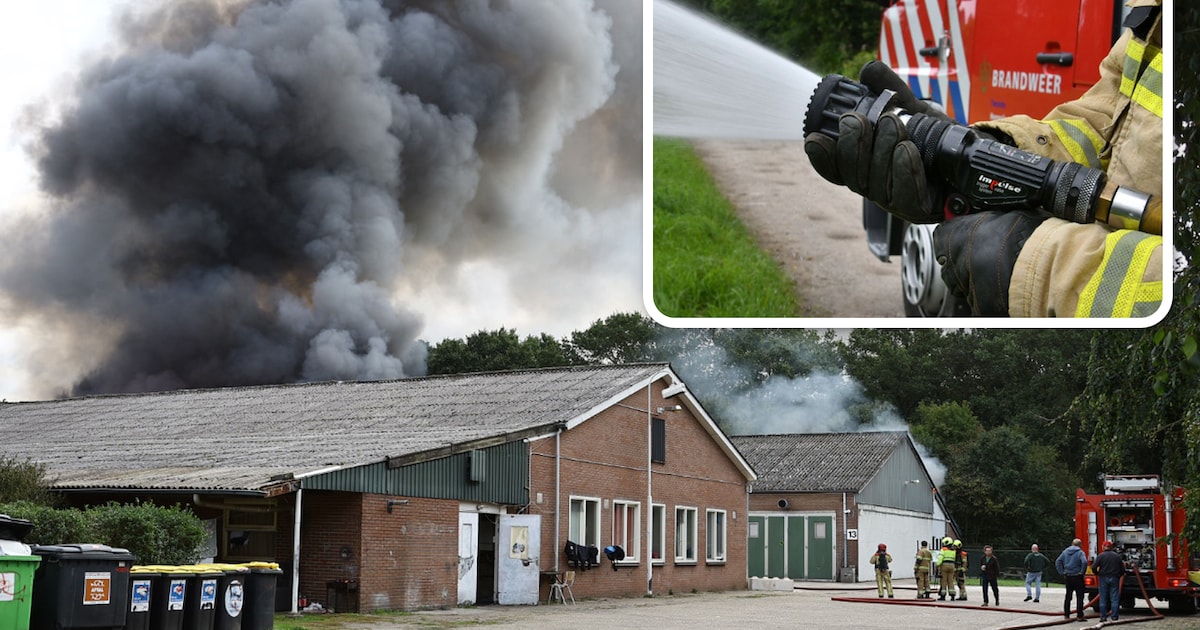 Brandweer voorkomt ‘vuurbal’ bij brand in champignonkwekerij: vuur onder controle, wel asbest vrijge