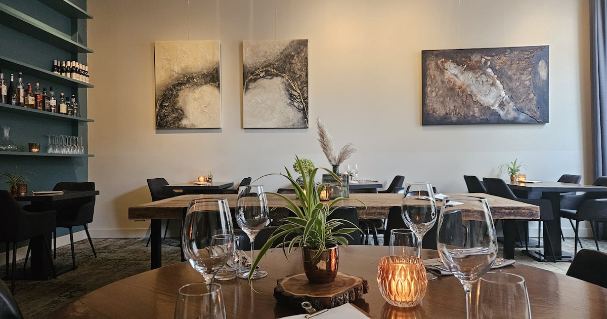 Nieuwe kunstexpositie geopend in Zevenaar